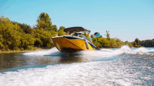 Best Dual Purpose Marine Battery